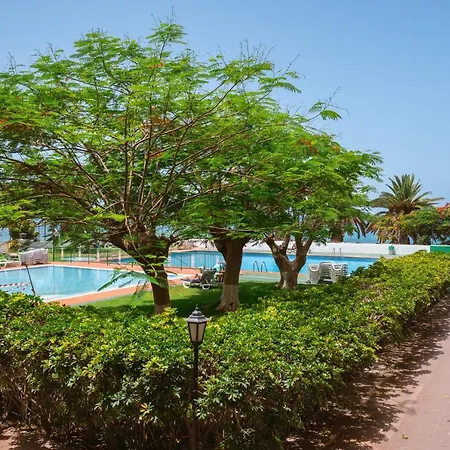 Go2tenerife Apart'dada Pool & First Line Of The Sea Los Cristianos (Tenerife)